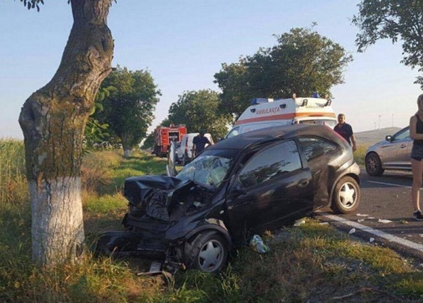 Fără teamă de rigorile legii! Doi tulceni, prinși la volan fără permis. Unul s-a oprit cu mașina într-un copac