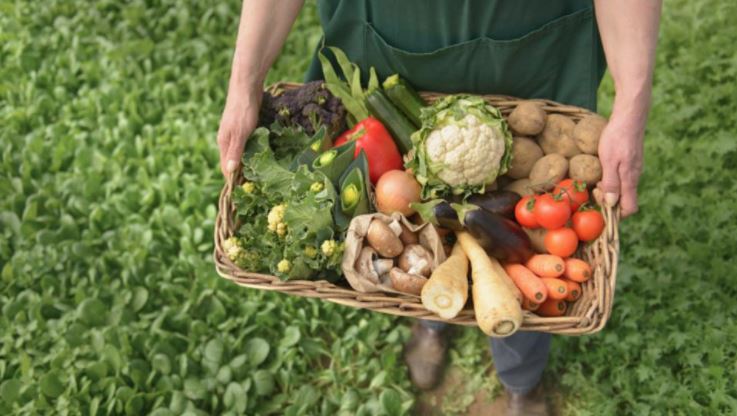Curs de agricultură ecologică organizat de Camera de Comerţ Constanţa