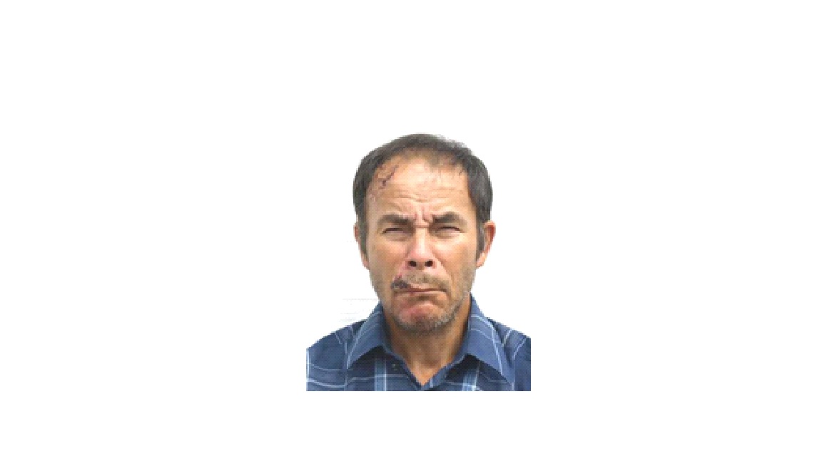 Bărbat dispărut din Valu lui Traian, căutat de polițiști