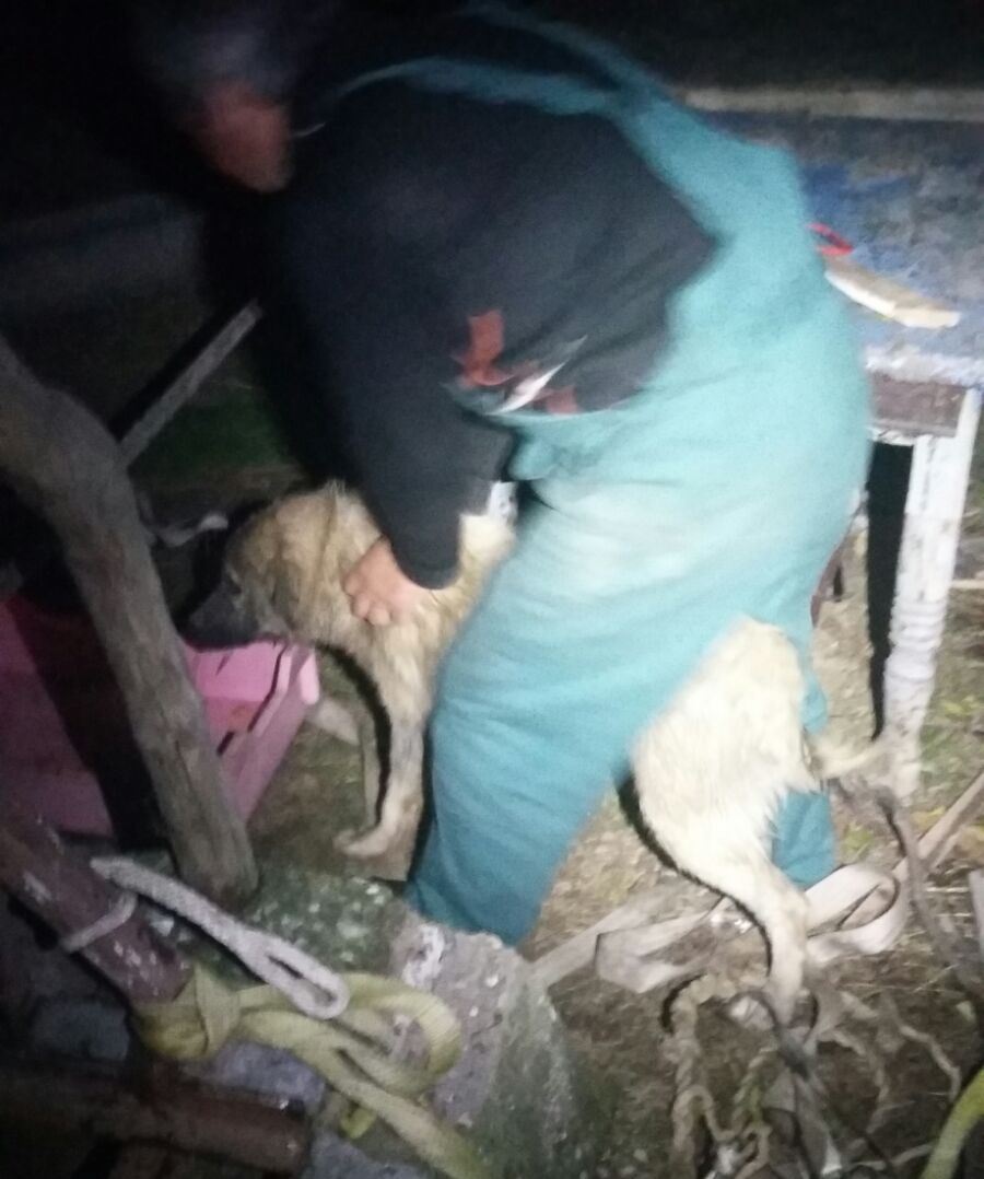 Com.Sălcioara/Jud. Tulcea: Un căţel a fost salvat după ce a căzut 20 de metri într-o fântână