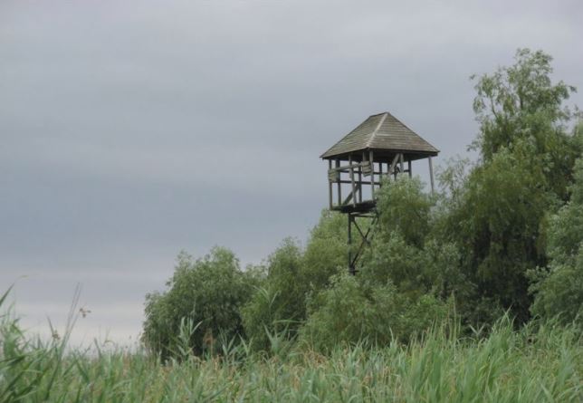 Circulaţia navelor pe canalele din DELTĂ, pusă în pericol de două foişoare de observaţie