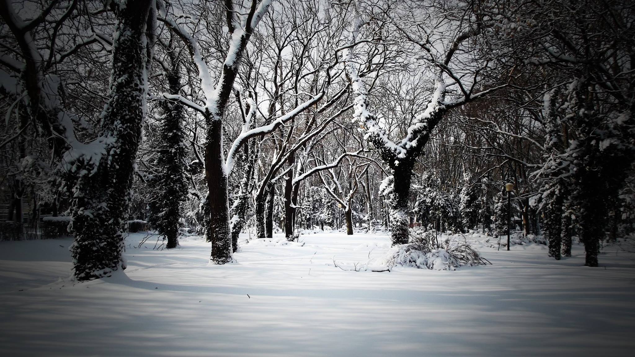 ANM: Prognoza meteo pentru următoarele trei luni! Ce fel de iarnă vom avea