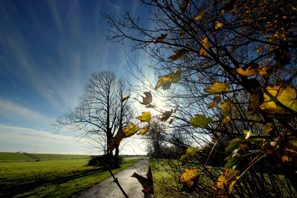 Meteorologii promit vreme frumoasă în Dobrogea
