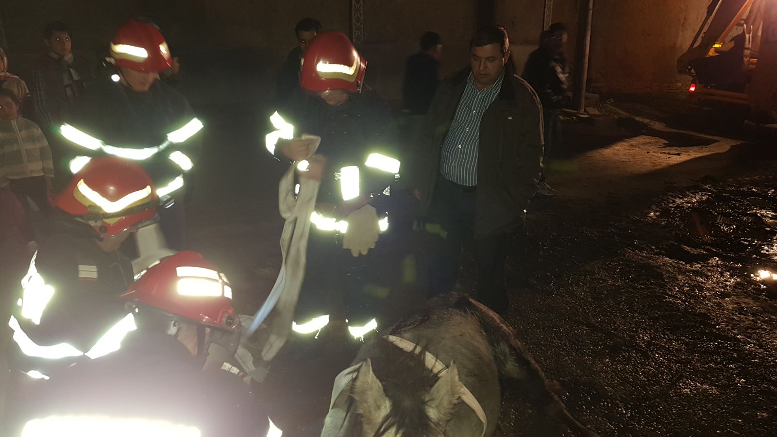 BABADAG – Pompierii, solicitați pentru a salva un cal căzut într-o groapă (foto)