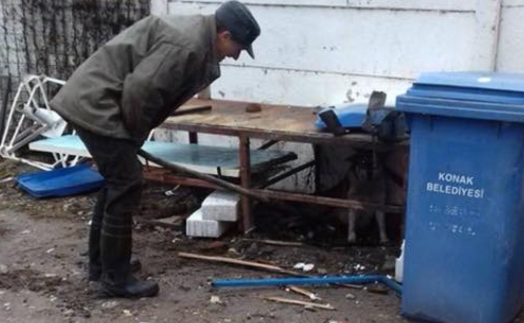 TULCEA/FOTO: Bărbatul care ar fi omorât mai mulți câini s-a ales cu dosar penal