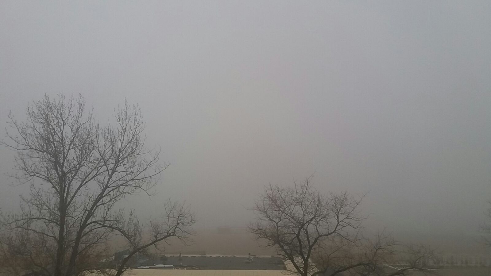 FOTO/ UPDATE: CEAȚĂ densă în stațiunea MAMAIA
