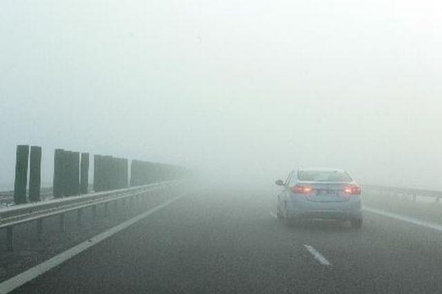 Ceaţă densă pe numeroase artere rutiere, inclusiv pe Autostrada București – Constanța