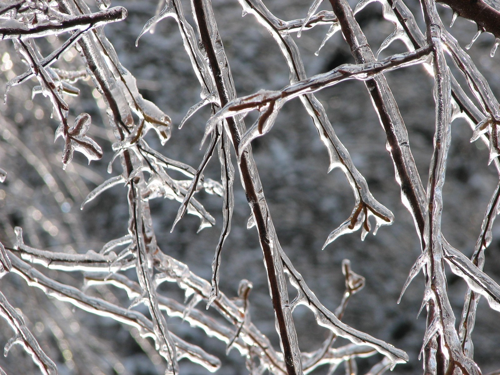 Meteorologii anunţă că urmează fenomenul de ”ploaie îngheţată”