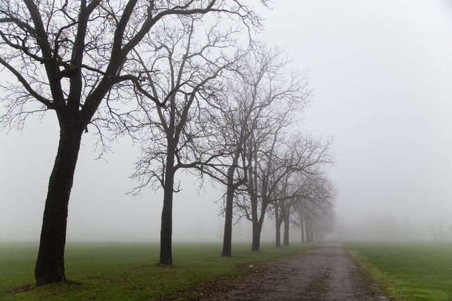 Gata cu vremea plăcută, în Dobrogea! Vin precipitațiile