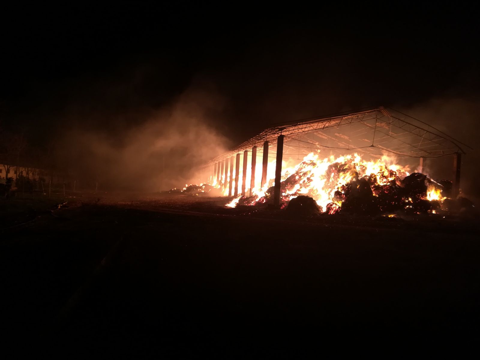 Incendiu la herghelia din Mangalia