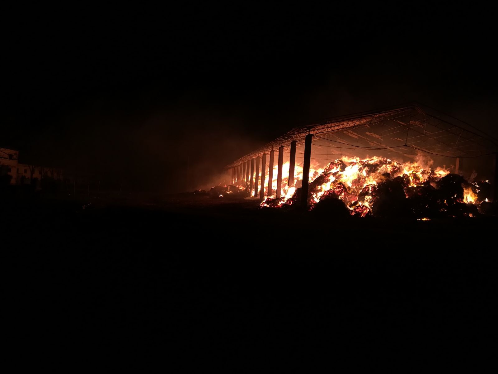 UPDATE! Incendiu violent la herghelia din Mangalia