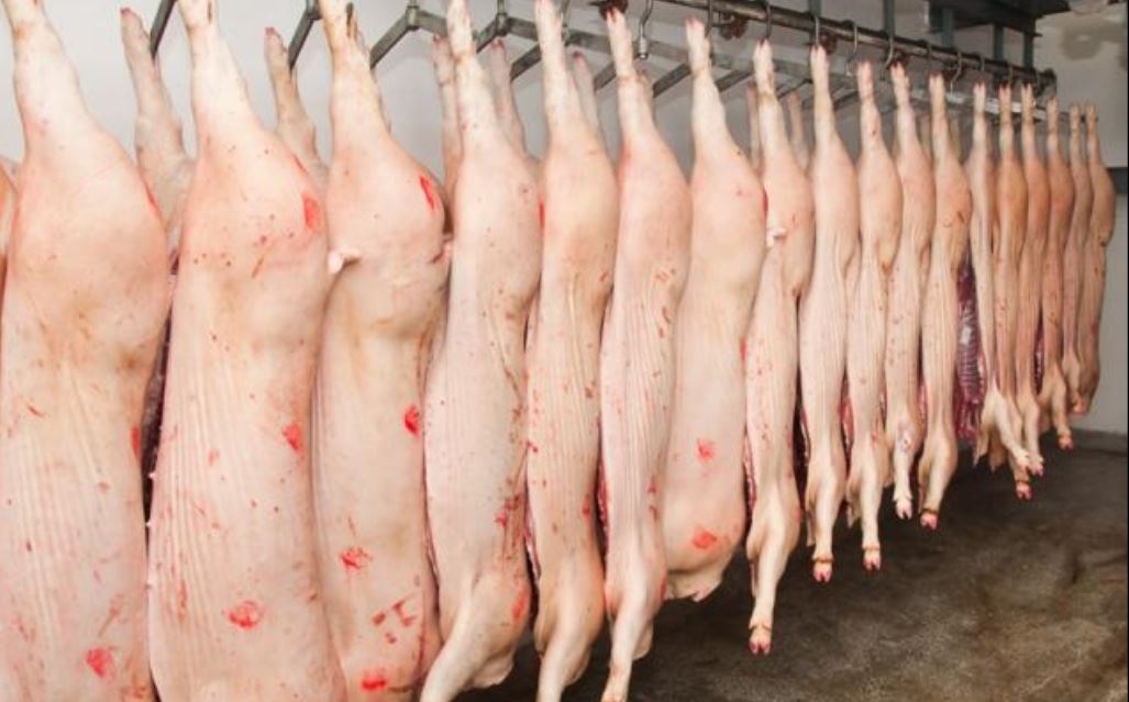 CONSTANȚA: Carnea de porc NU se va vinde în piețe