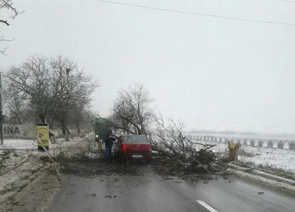 UPDATE! Drumuri BLOCATE din cauza viscolului care a smuls stâlpi și copaci