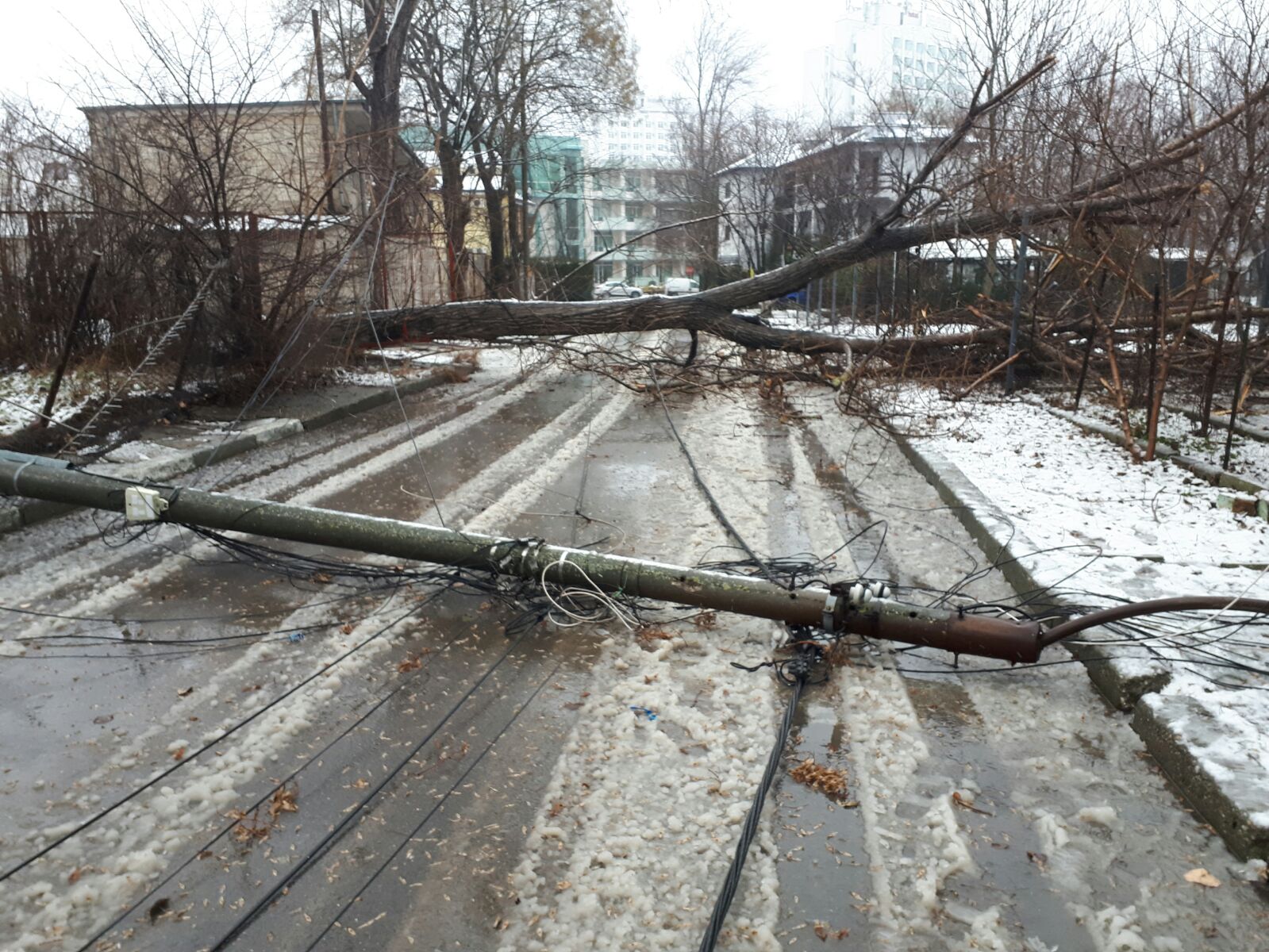 Peste 100 de localități din județele Constanța și Tulcea nu au curent electric. Ce spun reprezentanții companiei de energie electrică despre remedierea problemei