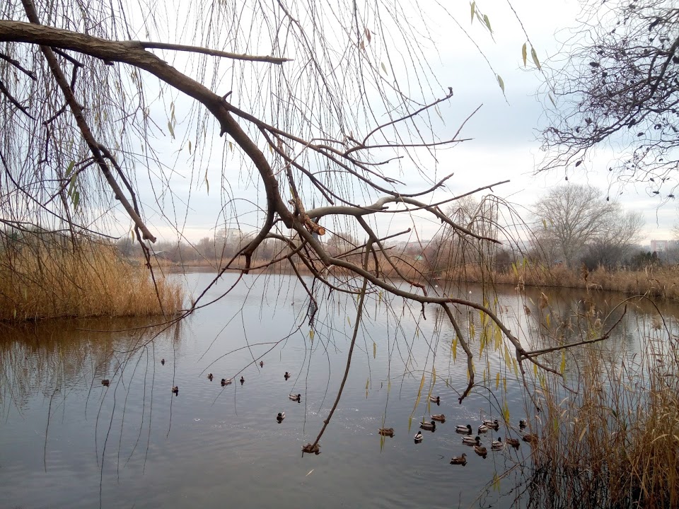 FOTO – Complexul Muzeal de Ştiinţe ale Naturii Constanța s-a extins