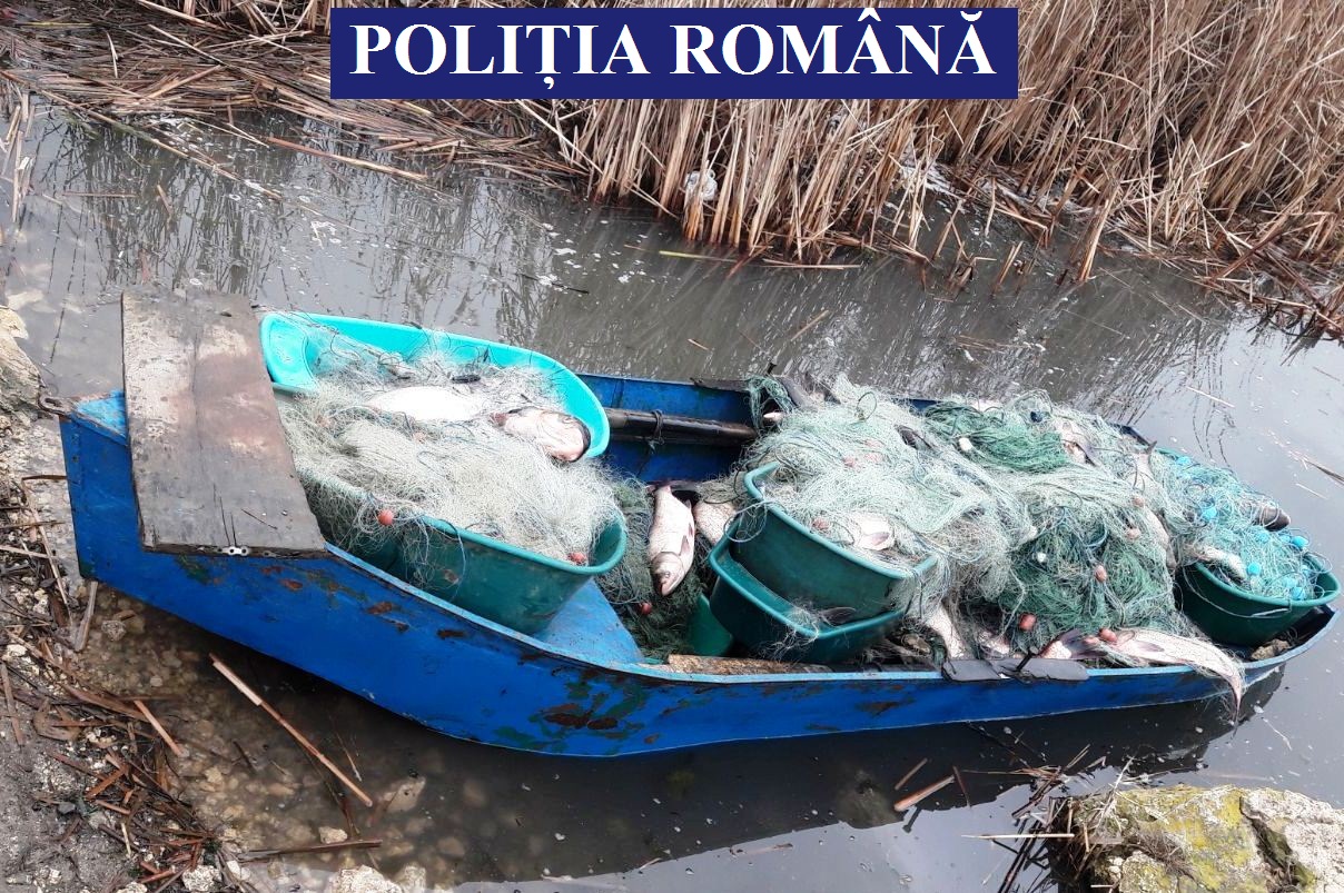 Județul CONSTANȚA: Nouă braconieri identificați de polițiști. Patru dintre aceștia au fost arestați