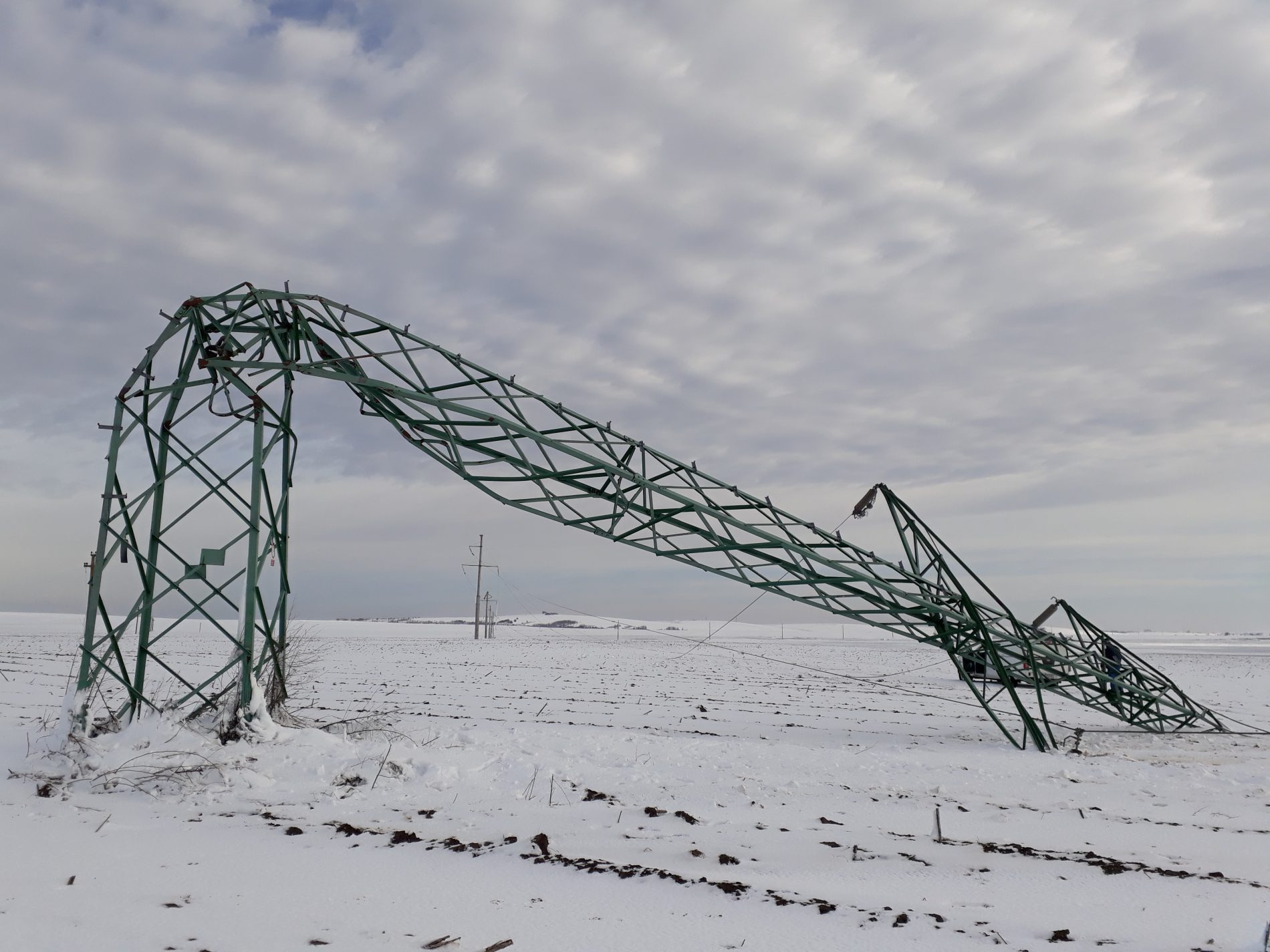 Localități din județele Tulcea și Constanța, lăsate în beznă de viscol. Zeci de echipe ale furnizorului de energie electrică lucrează pentru remedierea avariilor