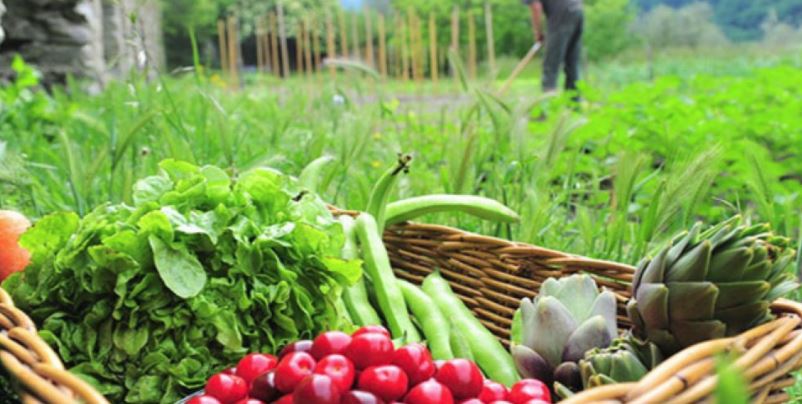 CCINA: Cursul acreditat de agricultură ecologică revine în Constanța