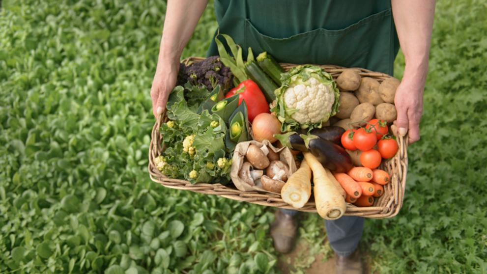 Tot mai mulți tineri optează pentru o carieră în domeniul agricol. Liceul ”Nicolae Cornățeanu” din TULCEA vine cu o ofertă atractivă