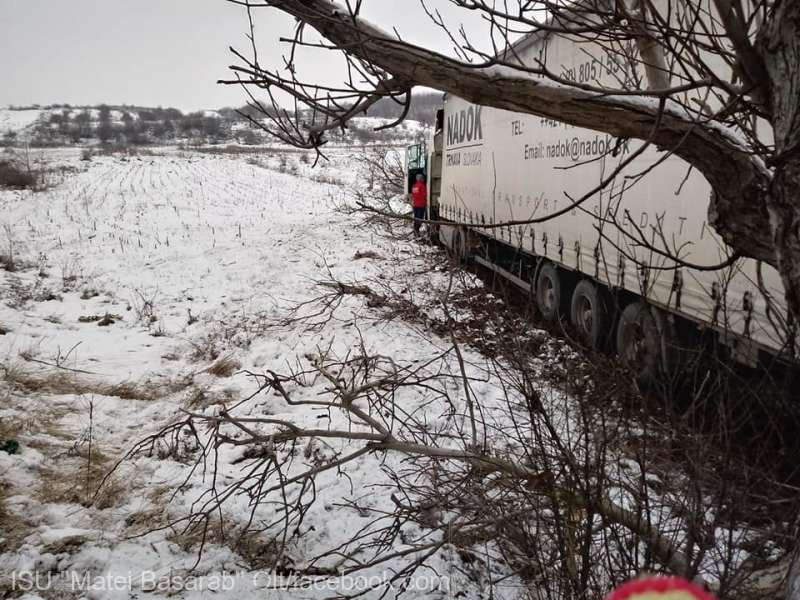 Un camion cu dulciuri s-a izbit violent de un copac