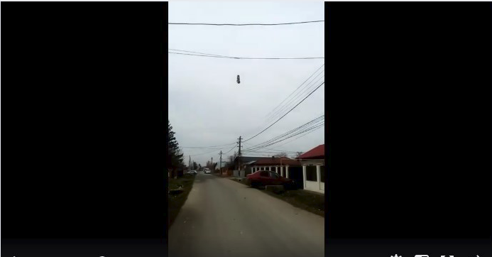 Cruzime fără margini! Cadavrul unui câine a fost agățat de cablurile electrice (video)