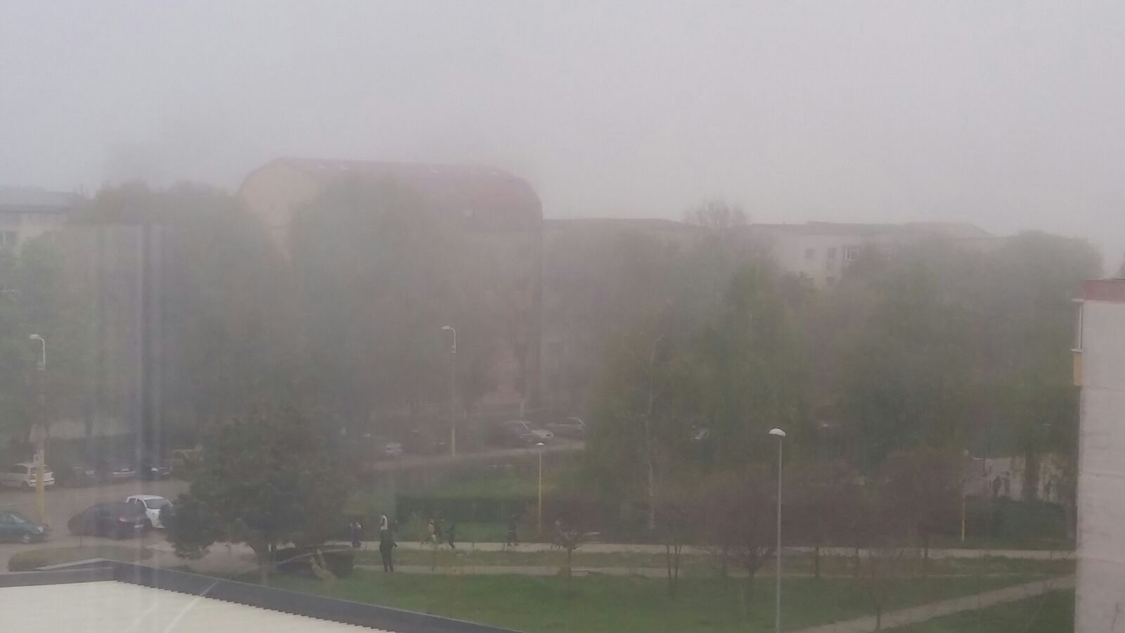 CONSTANȚA/ TULCEA/ BRĂILA/ ILFOV/ IALOMIȚA/ CĂLĂRAȘI: Cod galben de ceață