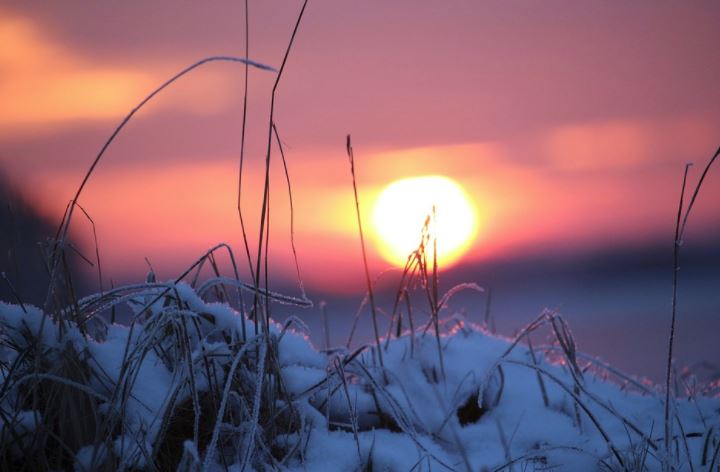 Temperaturi ridicate în lunile februarie şi martie, dar mai scăzute în aprilie