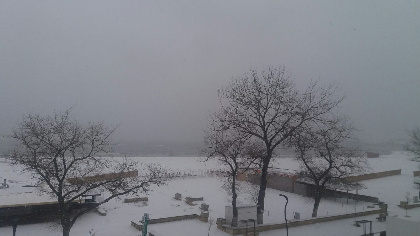 Iarnă autentică în Dobrogea