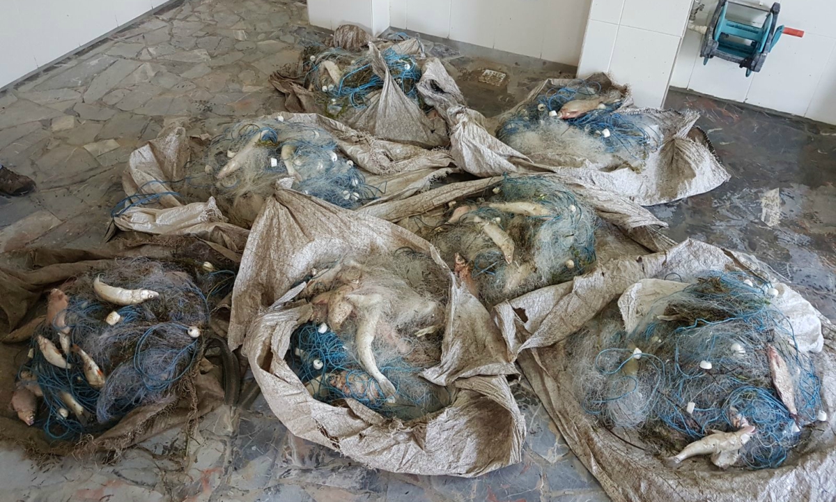 TULCEA/FOTO: Peşte fără documente legale şi plase monofilament, confiscate de poliţiştii de frontieră