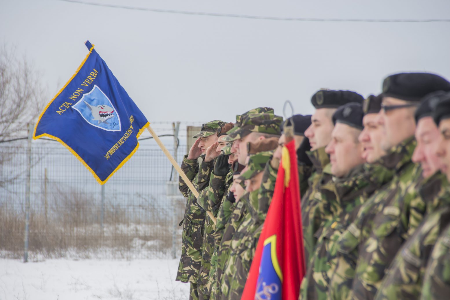 Exercțițiu multinaţional PLATINUM EAGLE 18.1 în poligonul Babadag