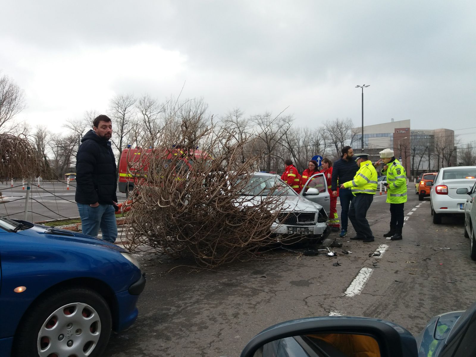 FOTO – MAMAIA: Copac smuls din rădăcini, după ce un șofer a intrat cu mașina în el