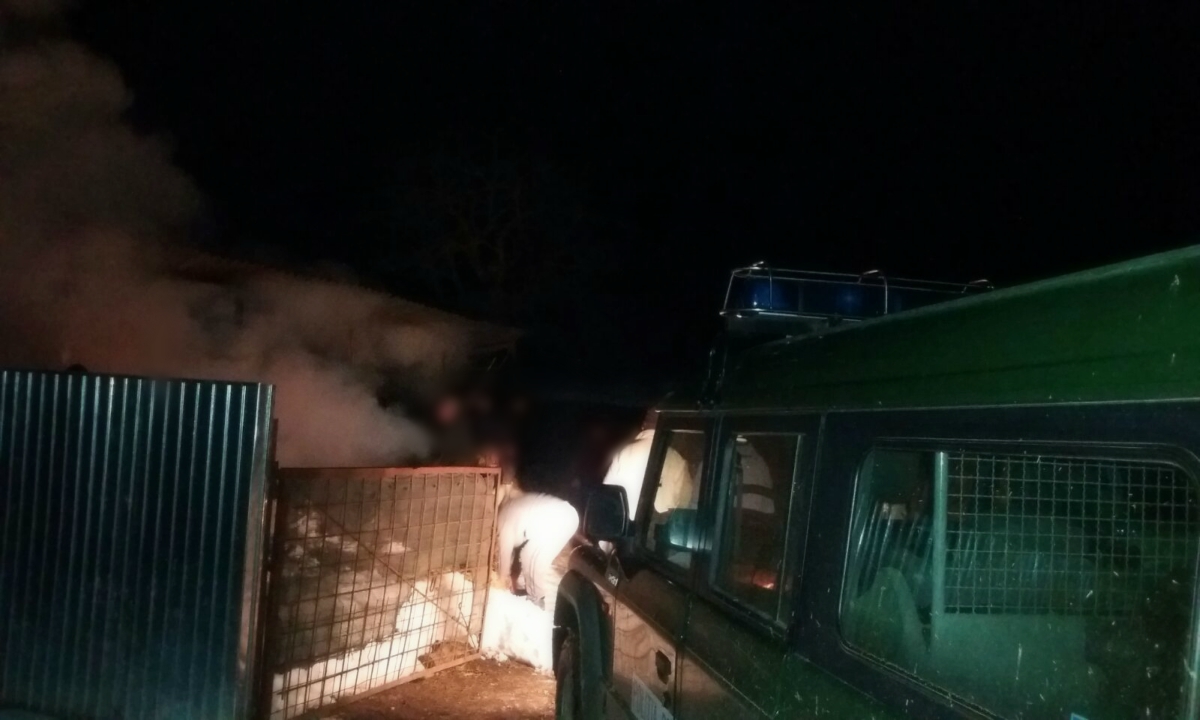 TULCEA: Incendiu stins de poliţiştii de frontieră