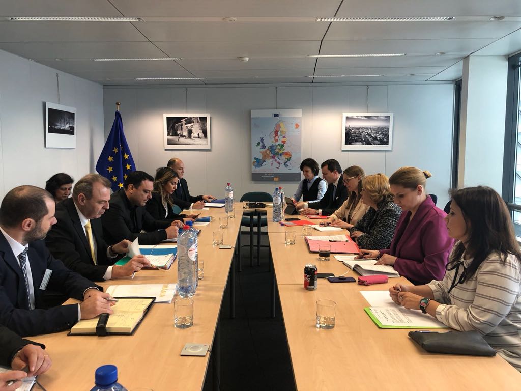 Condițiile de navigație pe sectorul româno-bulgar al Dunării, dezbătute la Bruxelles