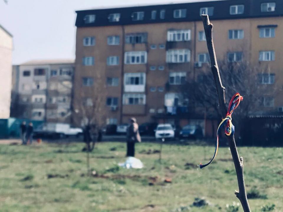 FOTO: 100 de pomi fructiferi plantați la Constanța de studenți basarabeni