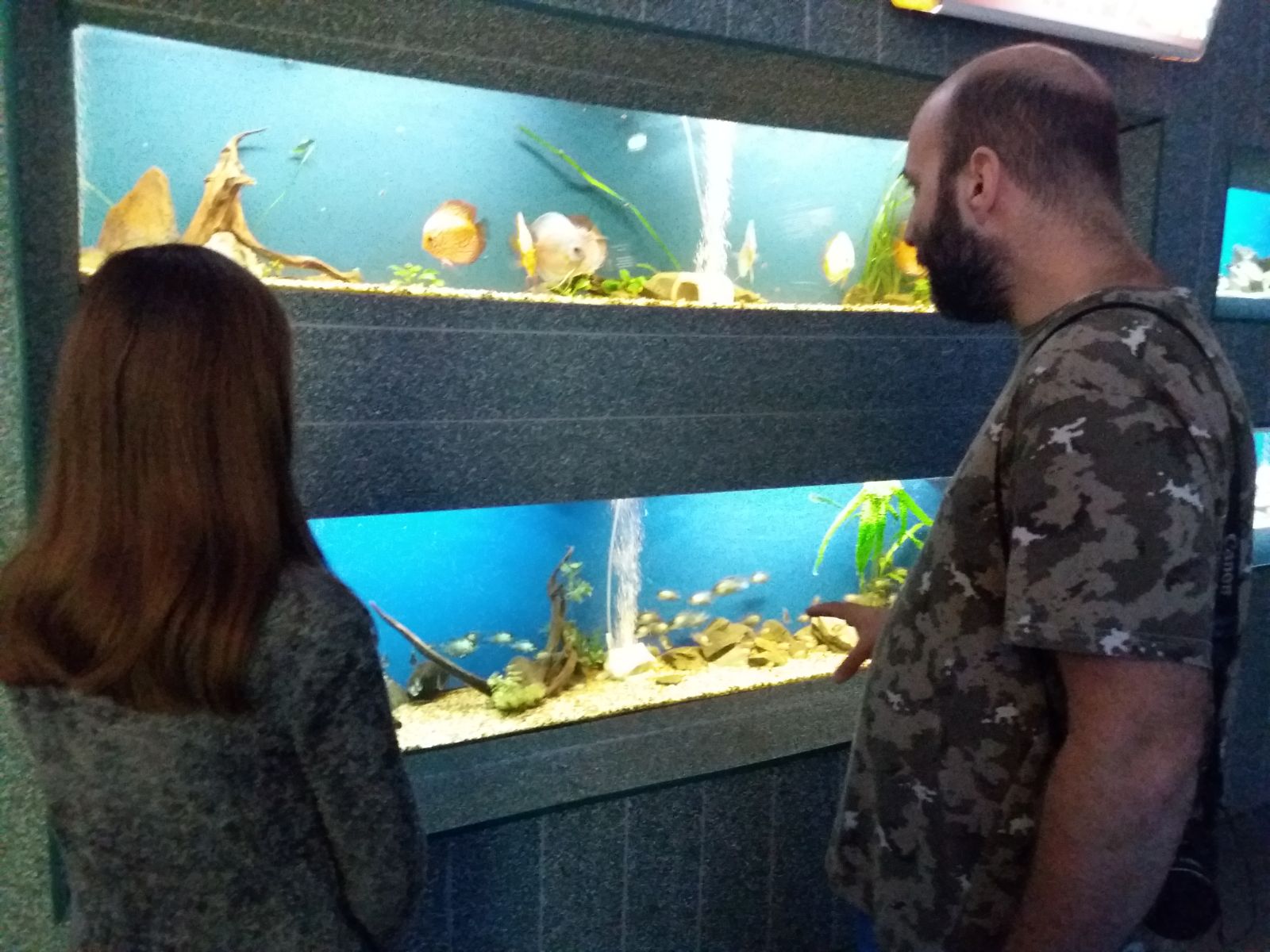 FOTO – Constanța: S-a deschis expoziția „Acvariul Artistic”