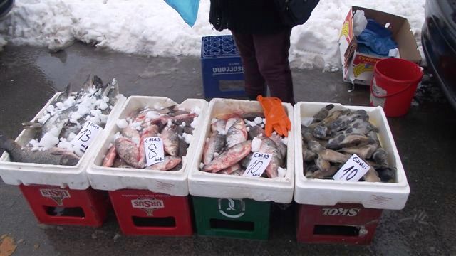 Femeie din EFORIE, prinsă în timp ce comercializa ilegal peşte