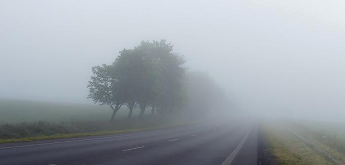 Județul CONSTANȚA: Cod galben de ceaţă densă