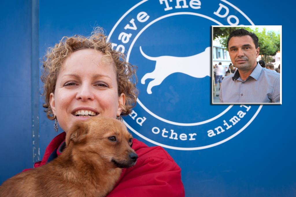 Cernavodă: Soarta câinilor fără stăpân, mărul discordiei între activiștii Save the Dogs și primarul orașului