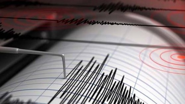 Cutremur cu magnitudinea 3,2 pe scara Richter în judeţul Vrancea, miercuri dimineaţa