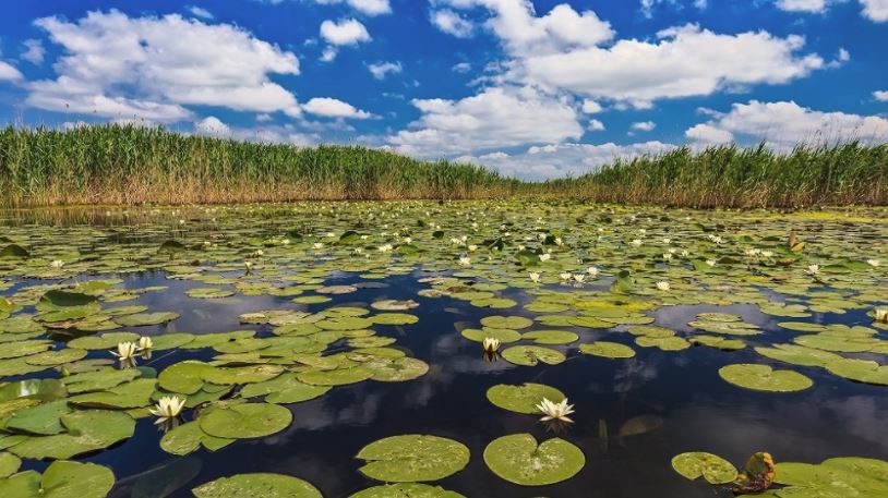 10 milioane de euro disponibile pentru proiecte în Delta Dunării