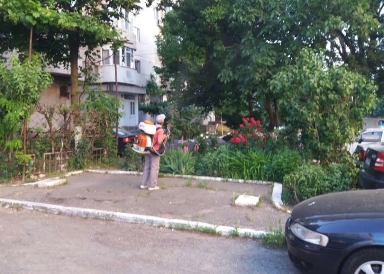 CONSTANȚA: Problema dezinsecţiei și deratizării, în atenția autorităților