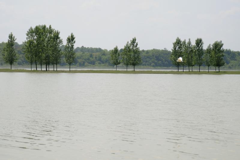 CONSTANȚA/TULCEA: Debitul Dunării, peste media multianuală a lunii aprilie. Codul portocaliu rămâne în vigoare