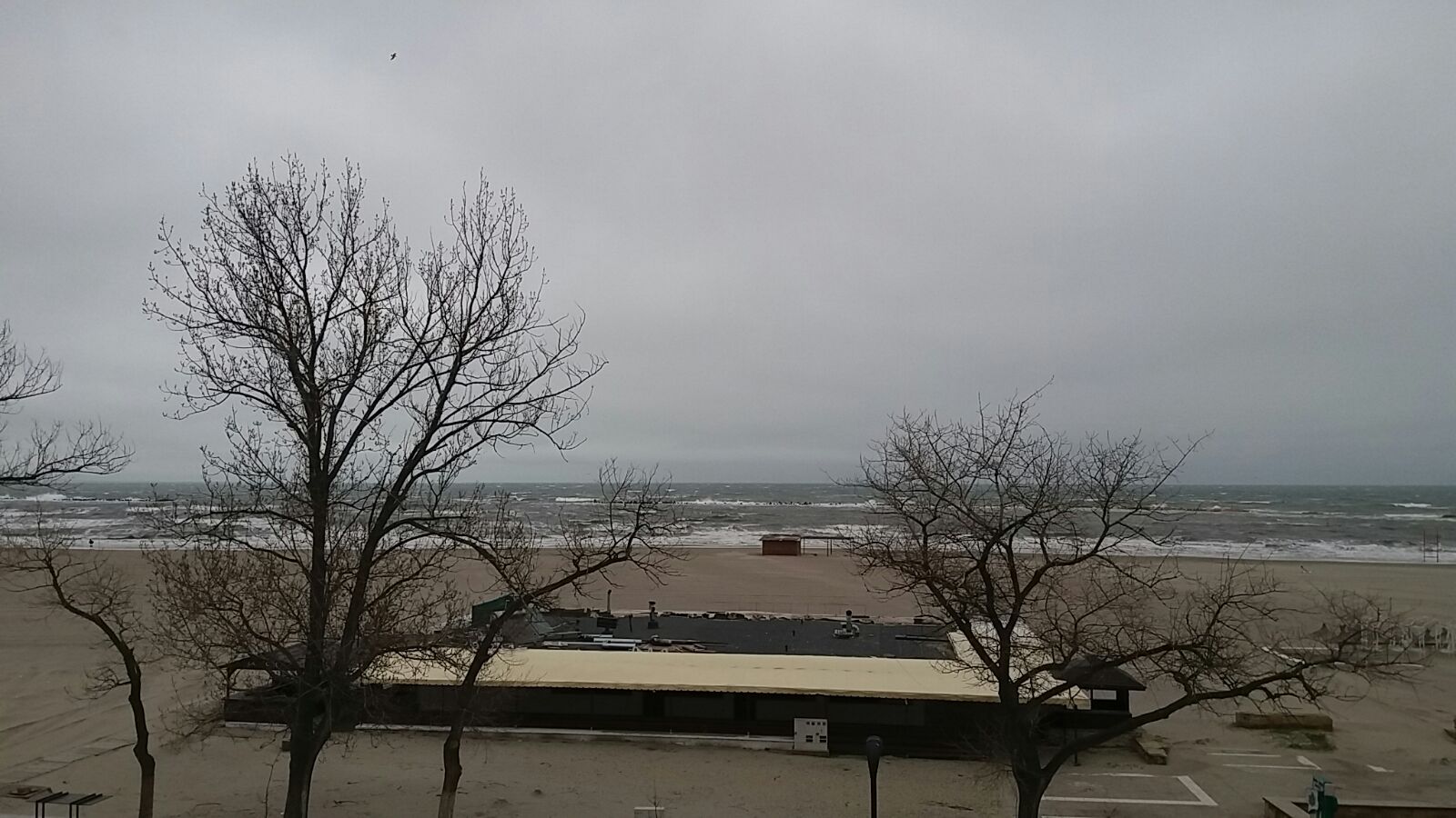 Vreme de iarnă în Dobrogea