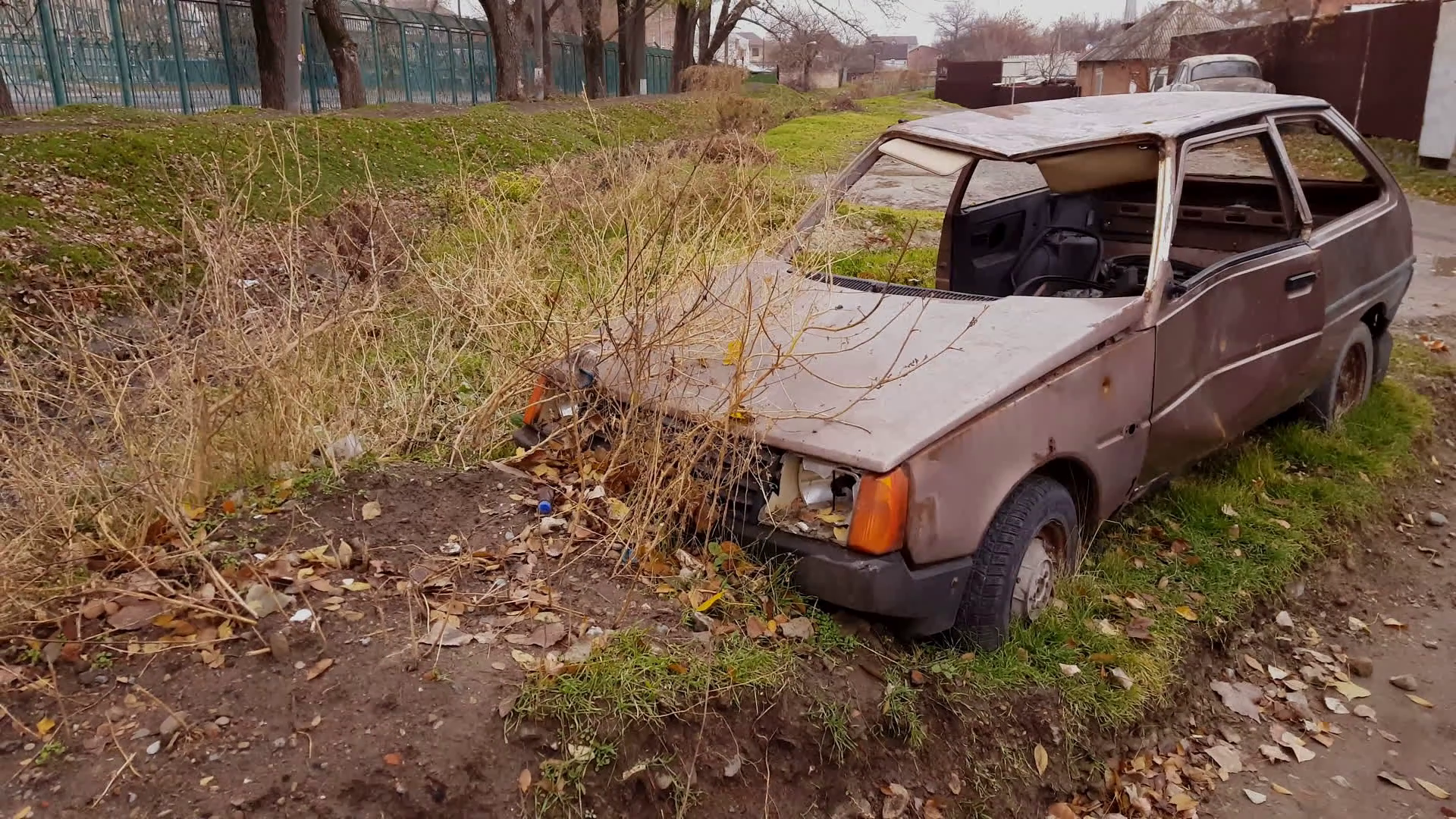 Zeci de rable abandonate pe străzile Constanței, ridicate de Poliția Locală