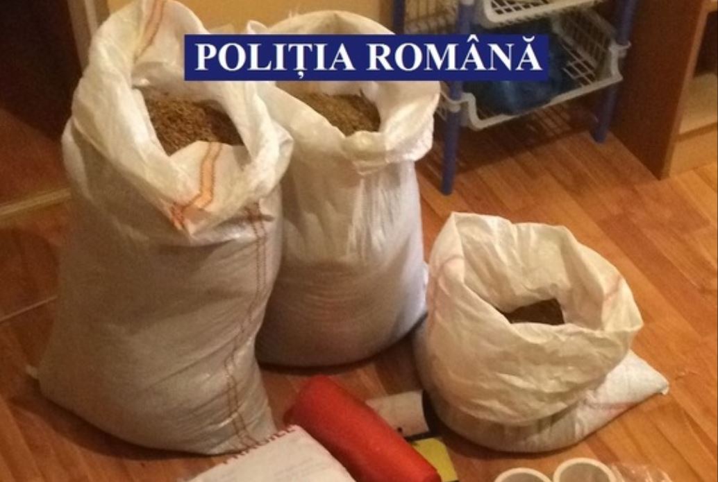 CONSTANȚA/TULCEA: Percheziții la contrabandiștii de tutun