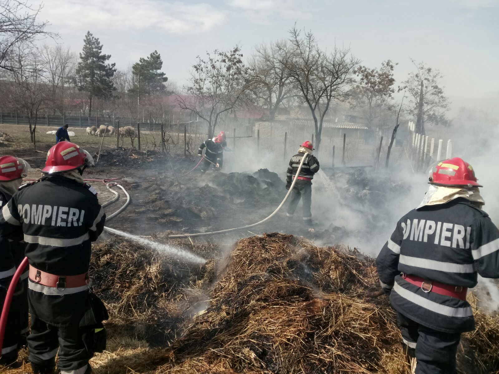 Jud. Tulcea – Incendiu într-o gospodărie din localitatea Dorobanțu (foto)