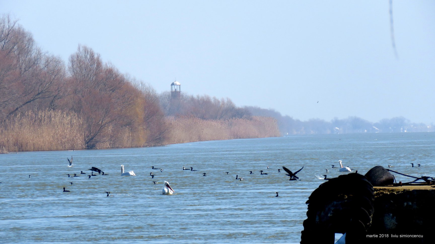 Minivacanța de 1 mai vine cu oferte inedite pentru turiștii care aleg să viziteze Delta Dunării