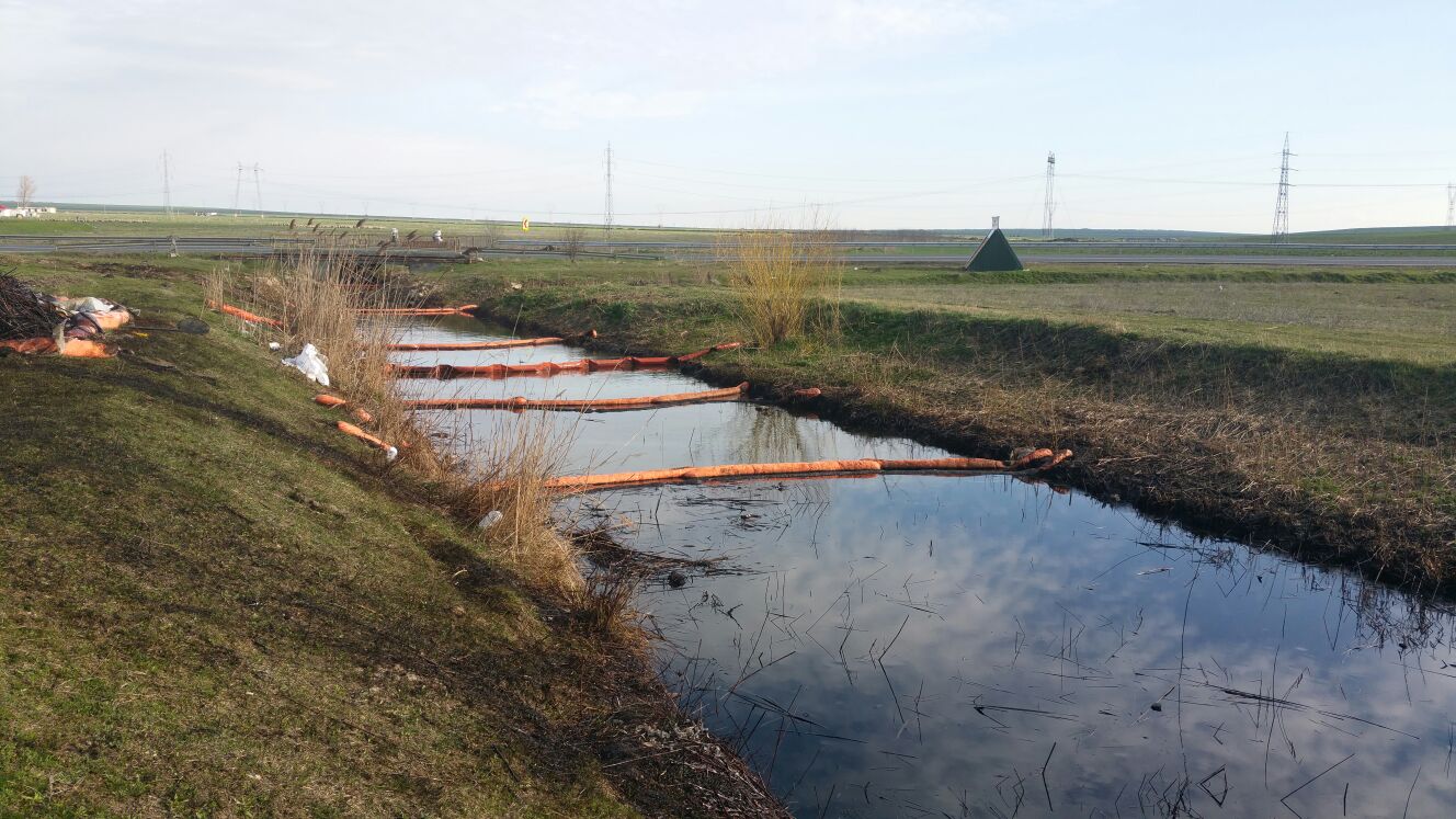 Județul CONSTANȚA/FOTO: Poluare cu țiței în albia pârâului Agi Cabul