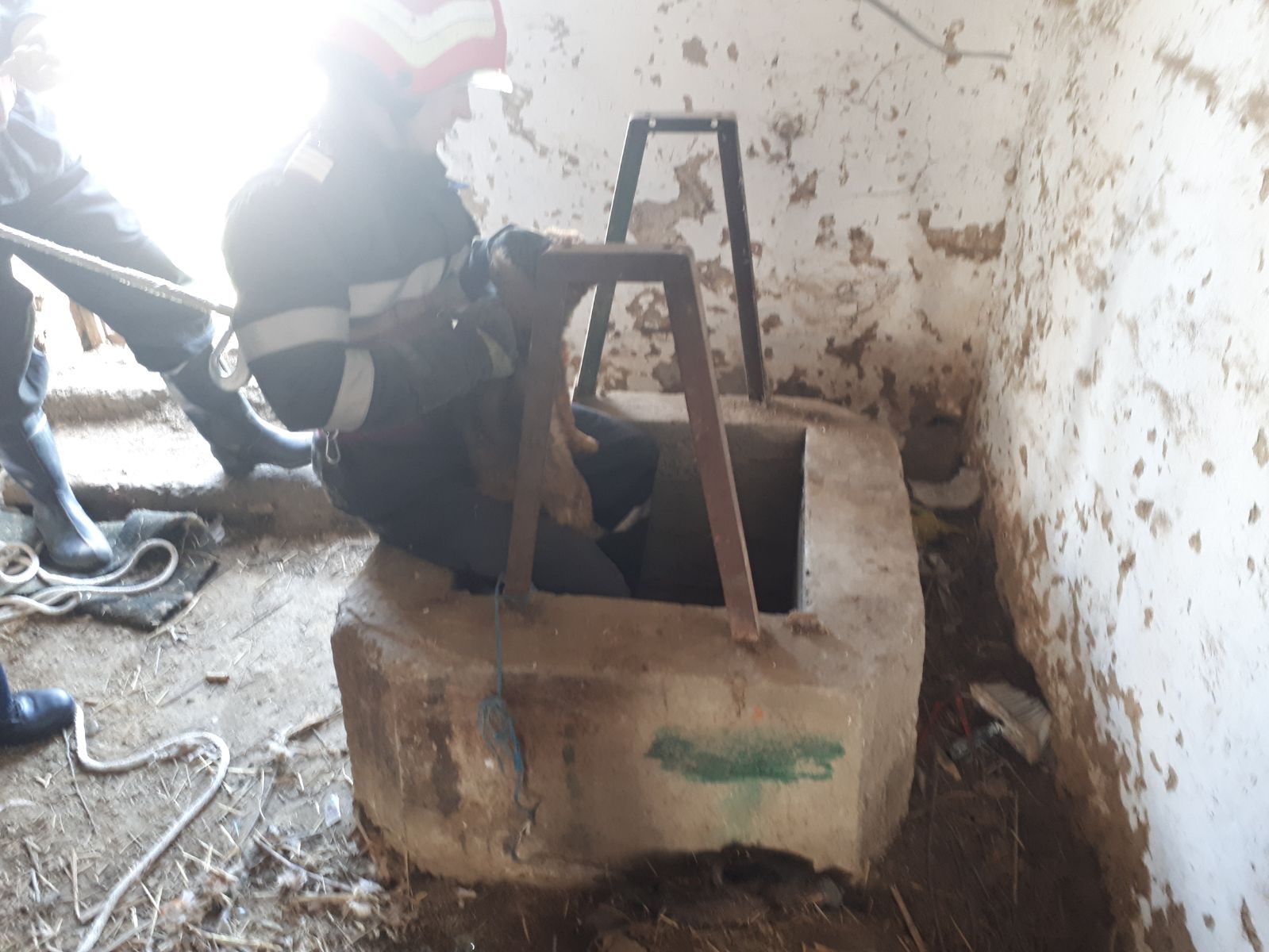 TULCEA/FOTO: Cățel salvat de pompieri dintr-o fântână secată