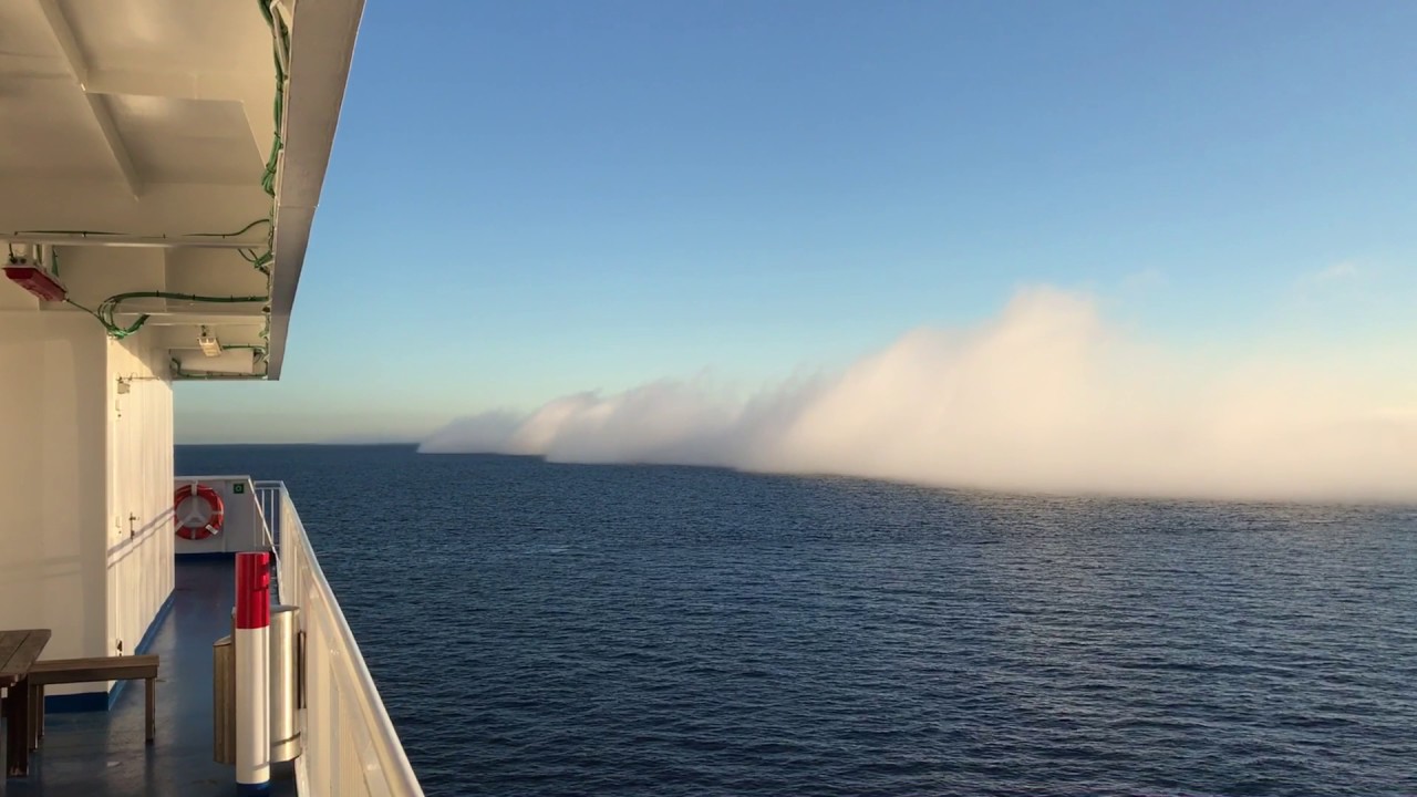 Trei porturi maritime redeschise